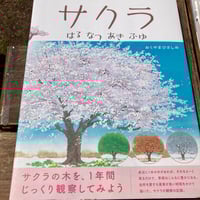絵本とイラストレーション 見えることば、見えないことば他5冊 絵本とイラストレーション 見えることば、見えないことば | ハリ書房