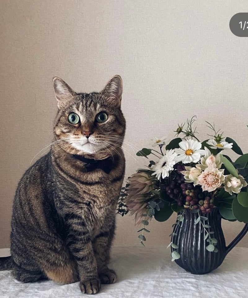 花瓶 青 Kousha 飯高幸作 楽天市場】飯高幸作 フタック 蓋物 丸 L ブルー / kousha