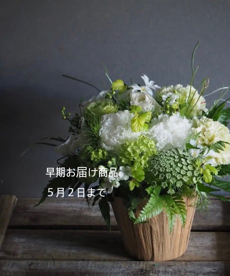 ＊5月2日までのお届け＊【母の日早期お届け割】　おまかせアレンジM
