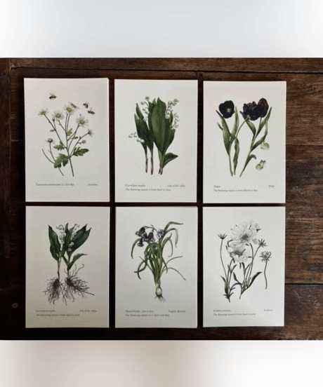 Box bouquet to teabag