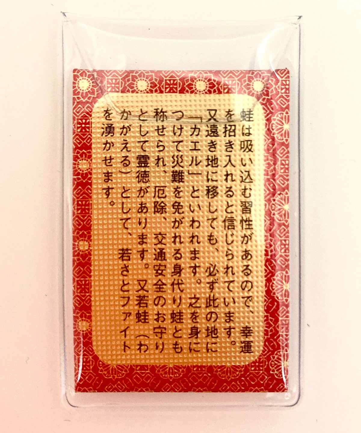 銭蛙 | マキノ玉森堂