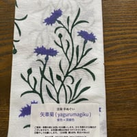 手ぬぐい　矢車菊