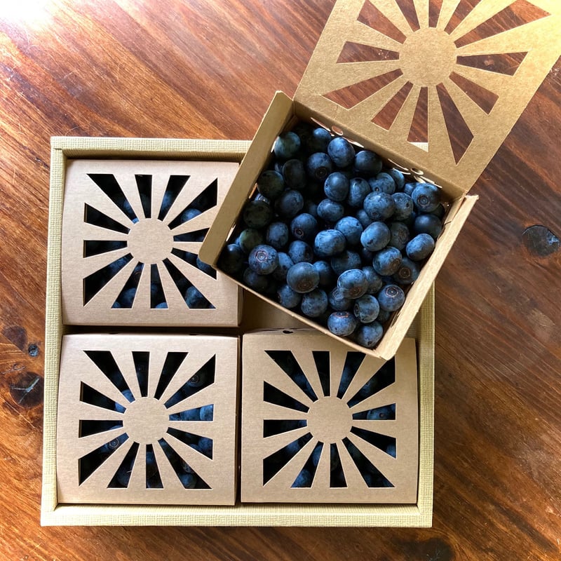 箱入】自然栽培ブルーベリー 800g (200g x 4P) | はぎわら自然農園