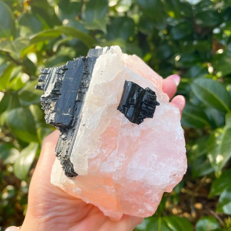 ブラックトルマリン共生　ローズクォーツ　クラスター  原石　ラフストーン ブラックトルマリン共生ローズクォーツ 】 | めのうの店川島