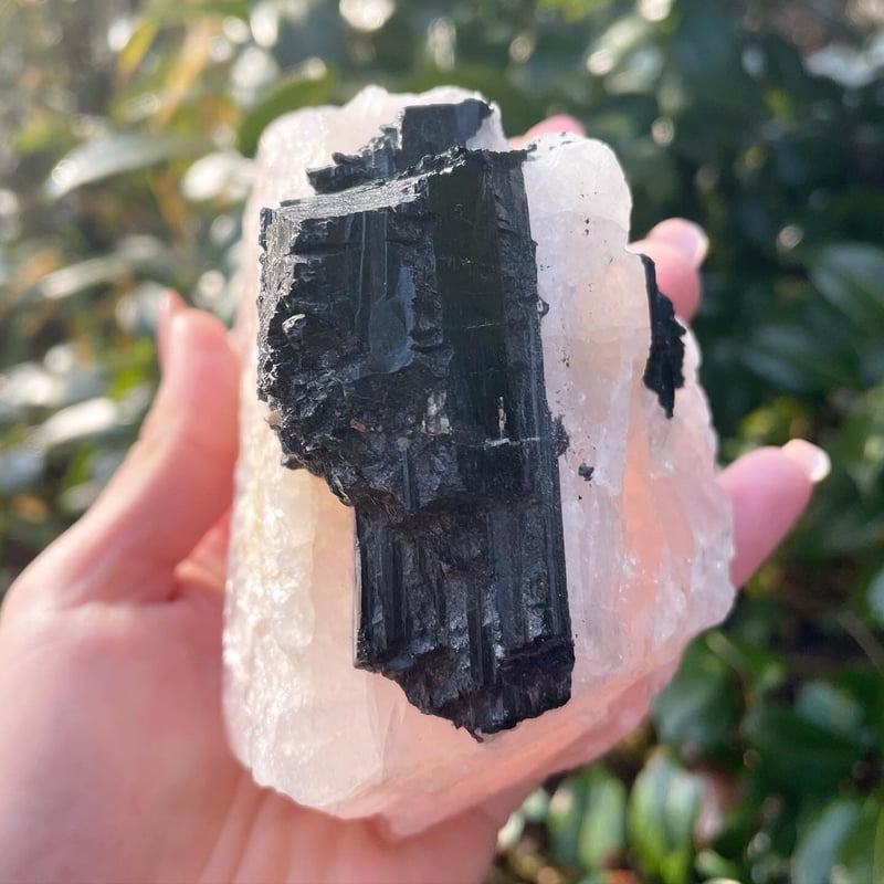 トルマリン共生ローズクォーツ | 鳳 Hanielsatomi