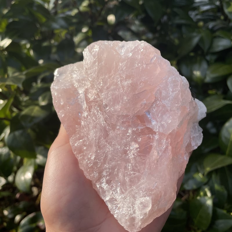 トルマリン共生ローズクォーツ | 鳳 Hanielsatomi