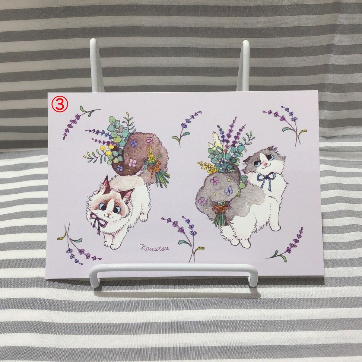 こなつ ポストカード③ | FEWMANY shinjuku STORE