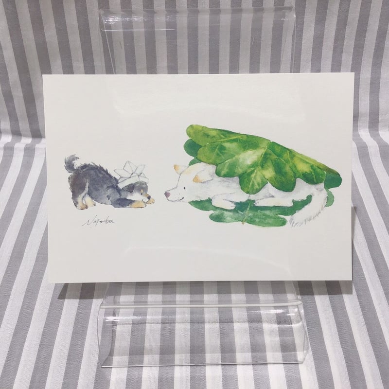 ポストカード by村田夏佳 パターンD | FEWMANY shinjuku STORE