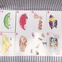 こなつ 小夏屋図録 其ノ四 | FEWMANY shinjuku STORE