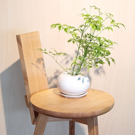 Solid Chair
