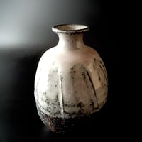 徳利 　～ 窯変 ～