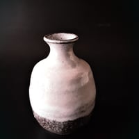 徳利  ～ 窯変 ～