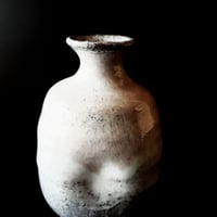徳利 ～ 窯変 ～
