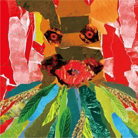 カモネギ書店（HEATWAVE STORE）