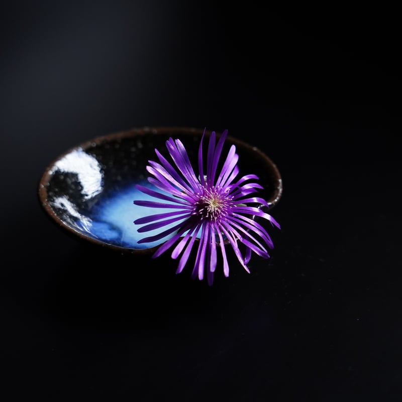 闇窯 高画質 No24 納冨 晋 青萩小皿5枚組 | 鳥雲窯