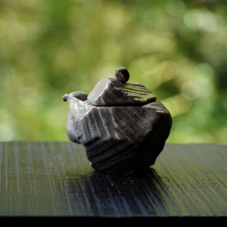 No16　納冨　晋	土塊宝瓶