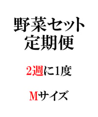 定期便　野菜セット2週に1度　Mサイズ