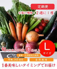 定期便　野菜セット2週に1度　Lサイズ