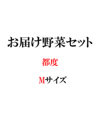 都度　お届け野菜セット　Mサイズ