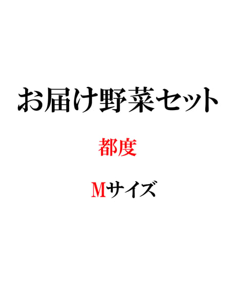 都度　お届け野菜セット　Mサイズ