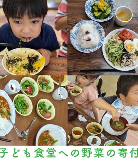 2026年　年間定期便　2週に1度　Sサイズ