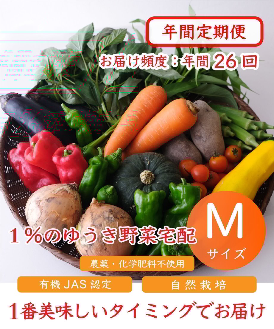 64b765f655979800305cb19d