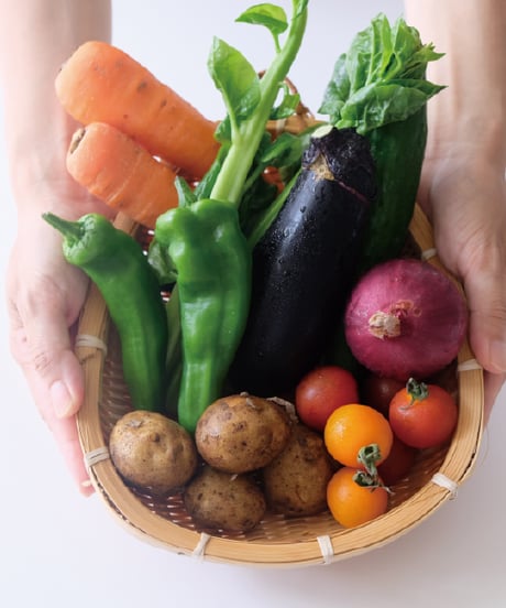 食卓から笑顔を届ける 夏野菜応援セット