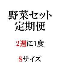 定期便　野菜セット2週に1度　Sサイズ