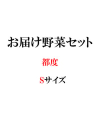 都度　お届け野菜セット　Sサイズ