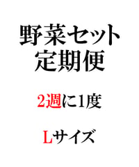 定期便　野菜セット2週に1度　Lサイズ
