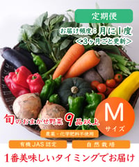 定期便　野菜セット月１回届く３ヶ月ごと更新　Mサイズ