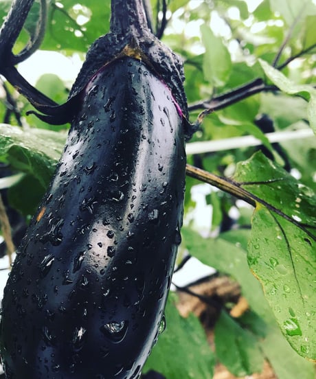 都度　お届け野菜セット　Sサイズ