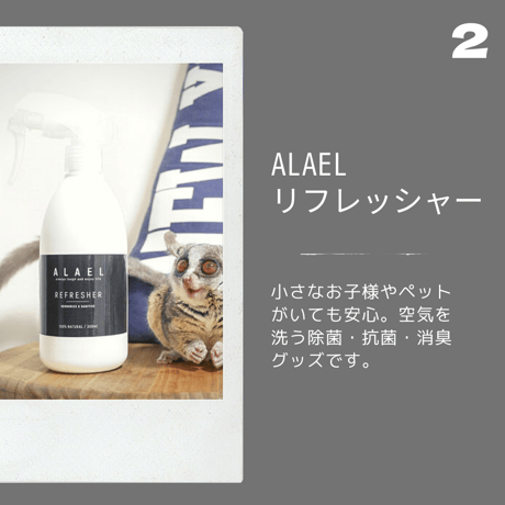 【ALAEL】はじめてのアラエル お試し３点セット！送料無料
