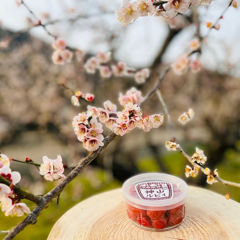 神山ルビィ ＜紅小梅＞＜白小梅＞各100g | 神山ルビィ