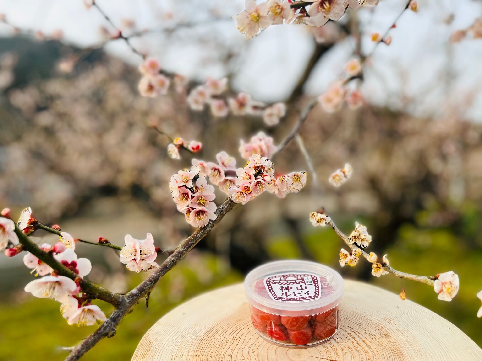 神山ルビィ ＜紅小梅＞＜白小梅＞各100g | 神山ルビィ