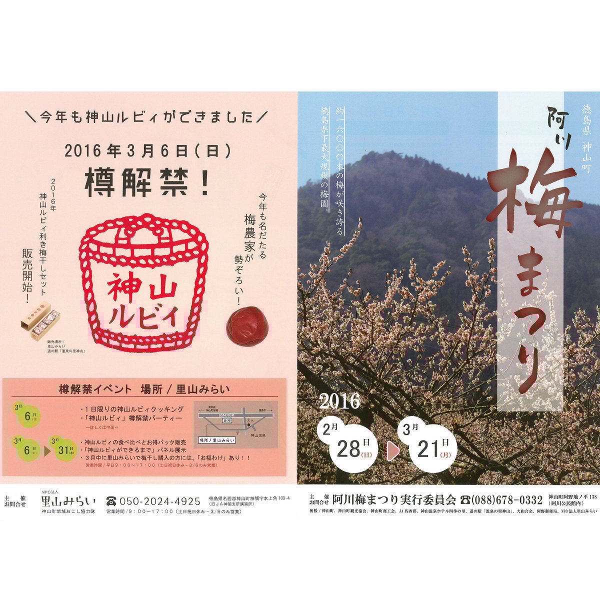 神山ルビィ ＜古梅＞160g | 神山ルビィ