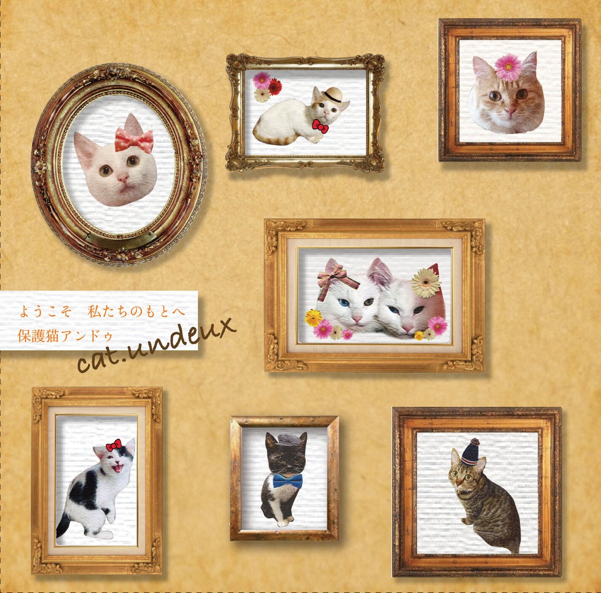 保護猫アンドゥ テーマソング「ようこそ私たちのもとへ」CD | Himeno