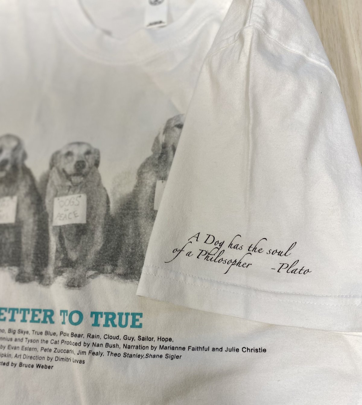 美品！Bruce Weber / Tシャツ/ A LETTER TO TRUE