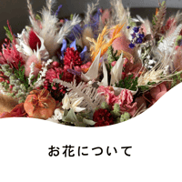 お花について