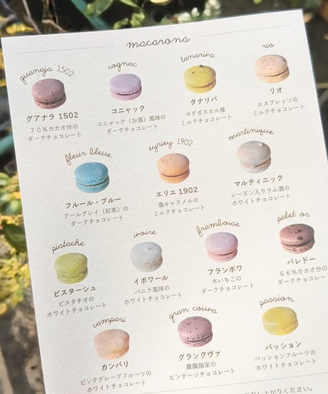 チョコレートのマカロン5個入り