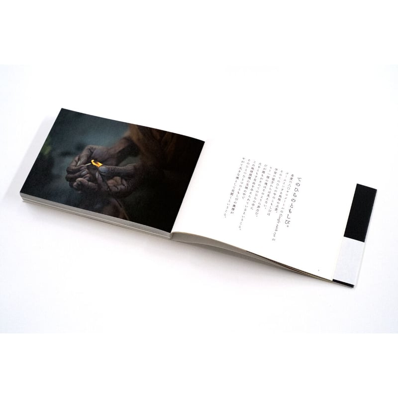 祈り カード検索 ｜ Z/X - Zillions of enemy X - ゼクス公式サイト