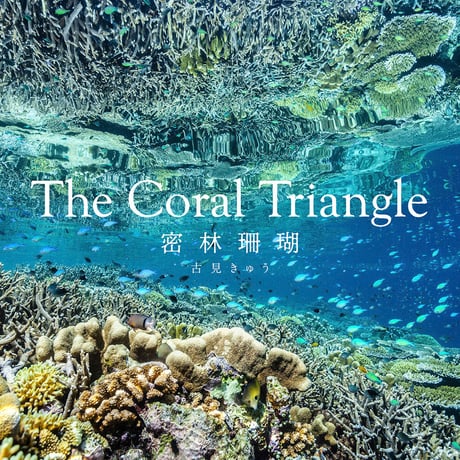 【古見きゅう】写真集『The Coral Triangle 〜密林珊瑚〜』（直筆サイン入り）