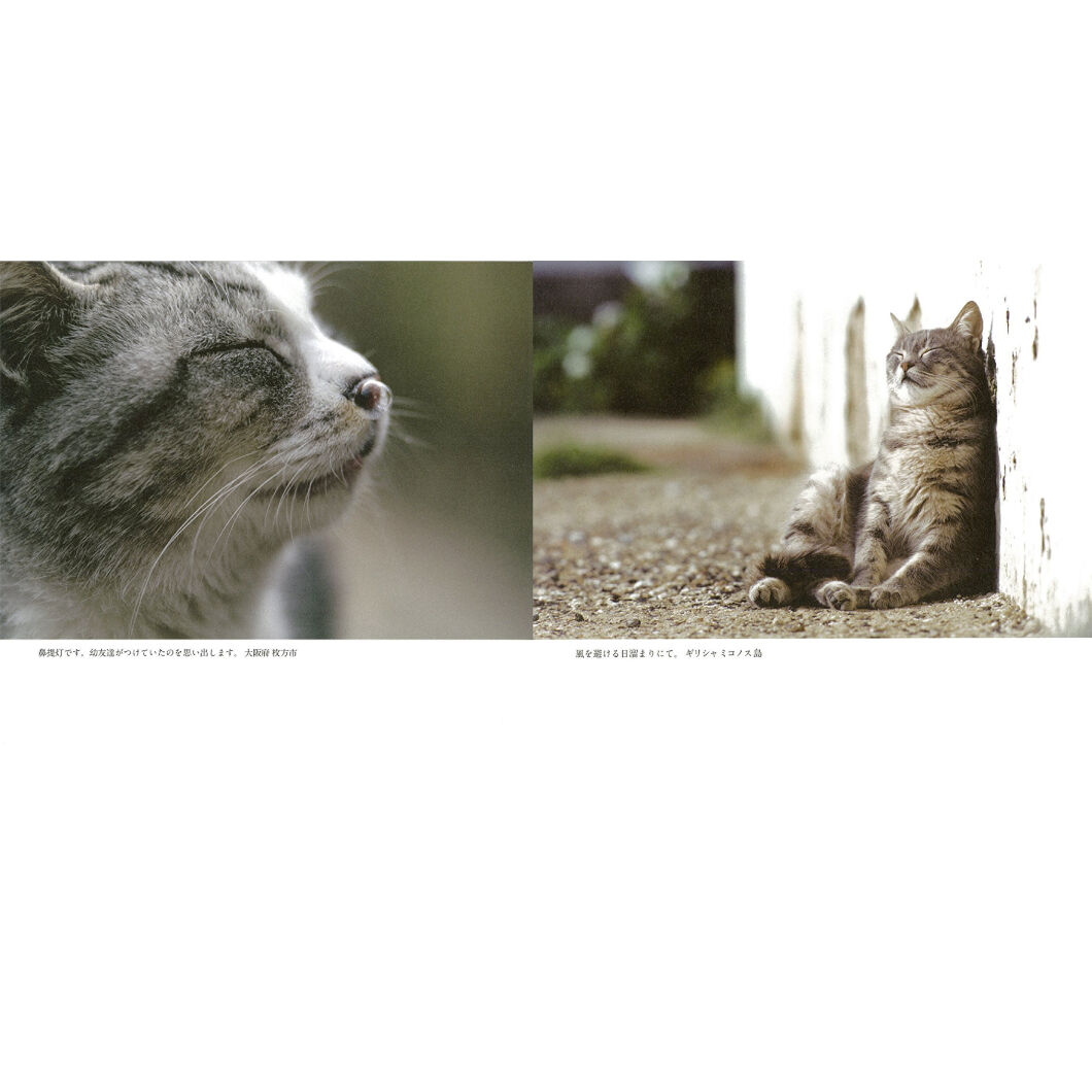 岩合光昭】IWAGO'S BOOK ①『ねこのとけい』 | Crevis Online S 岩合光昭】IWAGO'S BOOK ①『ねこのとけい』 | Crevis Online S