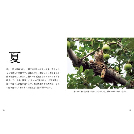 【岩合光昭】写真文庫『ふるさとのねこ』