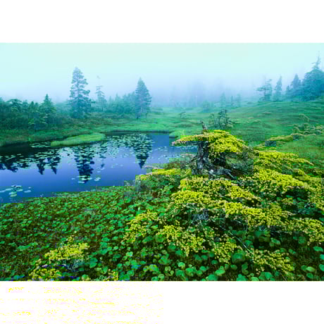 CATEGORY 作品販売 | Crevis Online Store