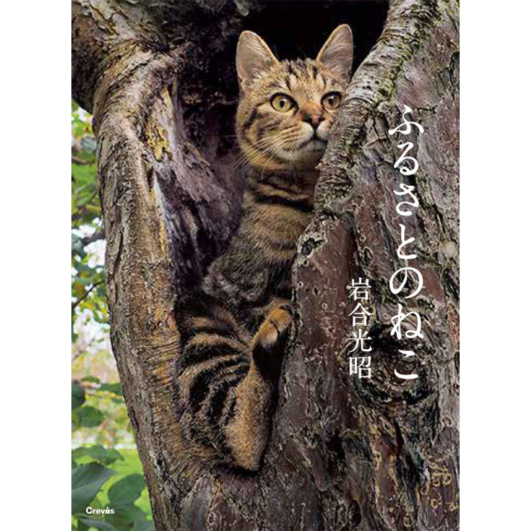 岩合光昭】写真文庫『ふるさとのねこ』 | Crevis Online Store