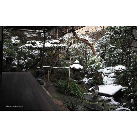 【岩合光昭】写真集『ねこの京都』