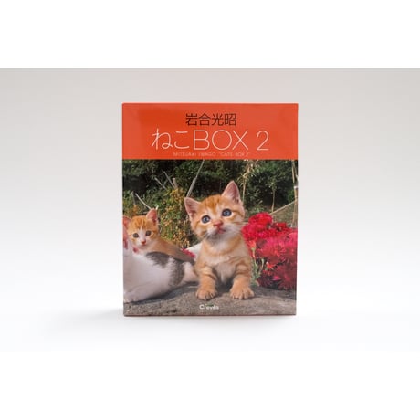 【岩合光昭】岩合光昭 ねこBOX２