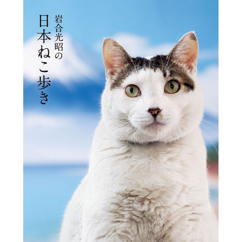 岩合光昭】写真集『岩合光昭の日本ねこ歩き』 | Crevis Online Store