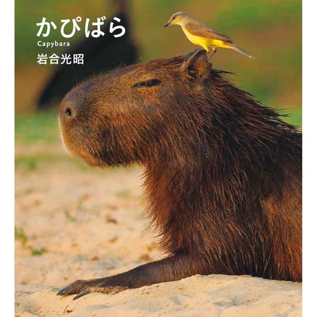 【岩合光昭】IWAGO’S BOOK ⑤『かぴばら』